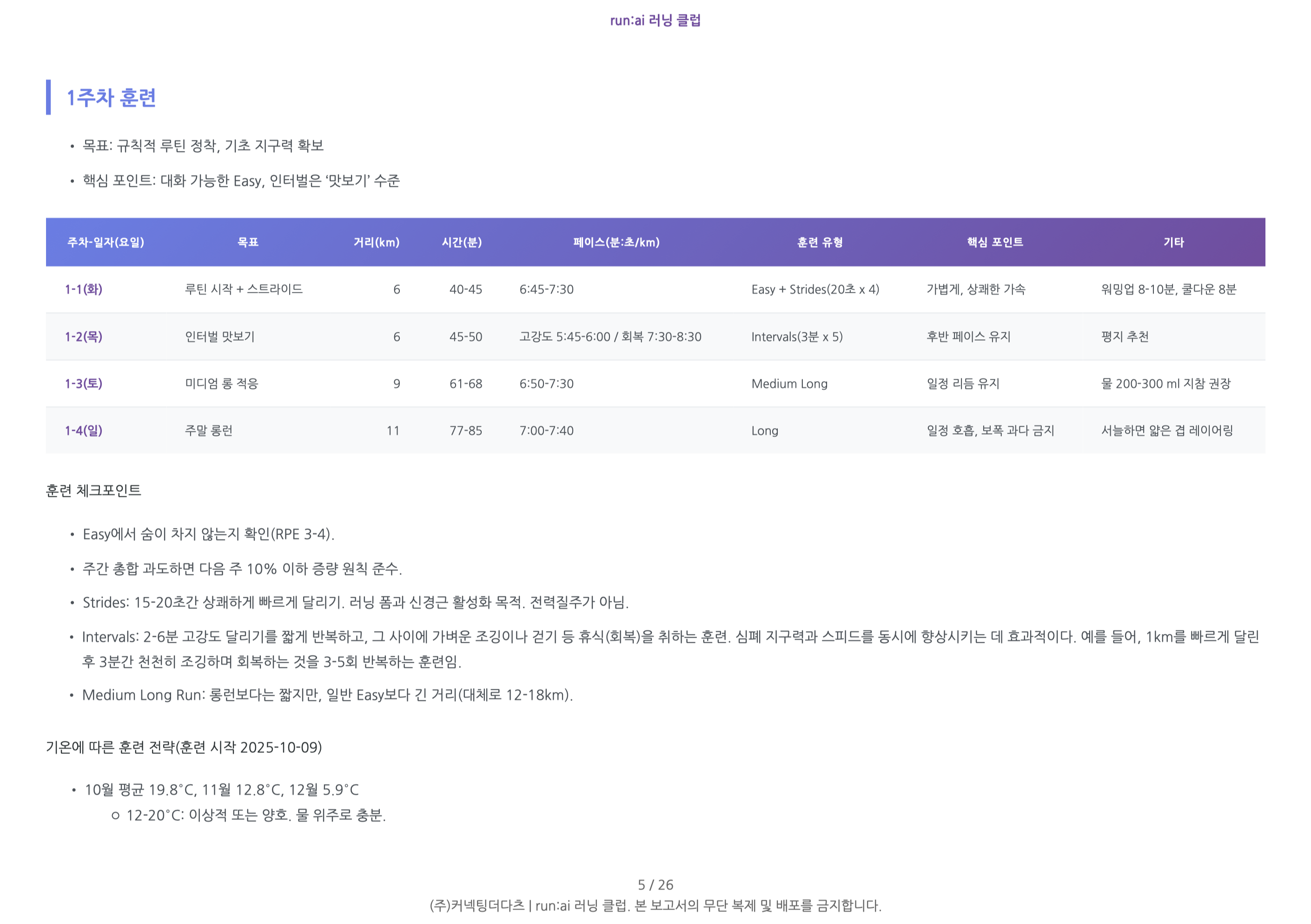 초보자 보고서 샘플